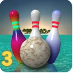 Bowling Paradise 3