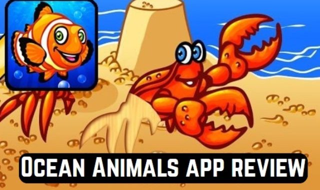 Ocean Animals App Review