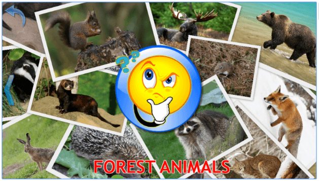 Animals for Kids, Planet Earth Animal Sounds app