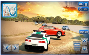 Border Police Adventure Sim 3D app