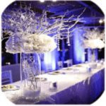Wedding Decoration Ideas app