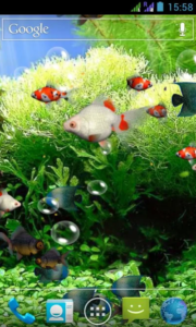 Aquarium 3D Live Wallpaper app review