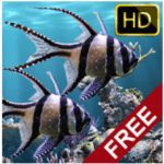 The real aquarium HD