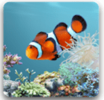 aniPet Aquarium LiveWallpaper