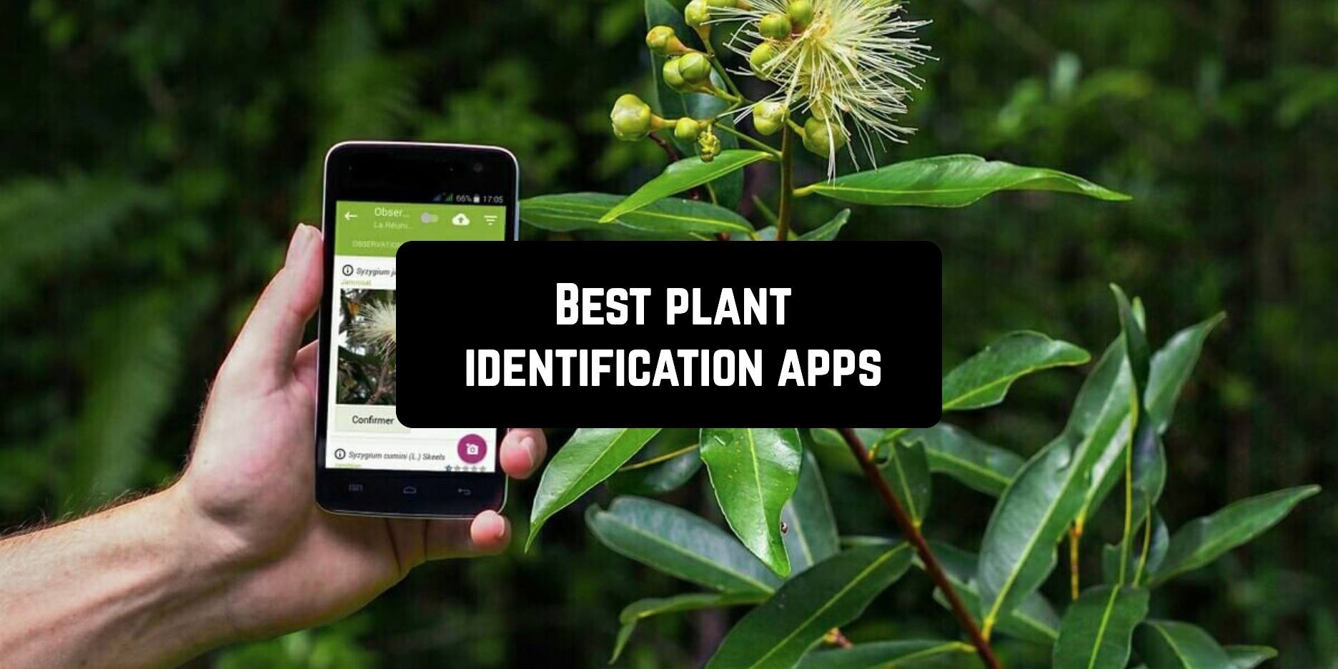 7 Best Plant Identification Apps For Android Android Apps For Me Download Best Android Apps And More
