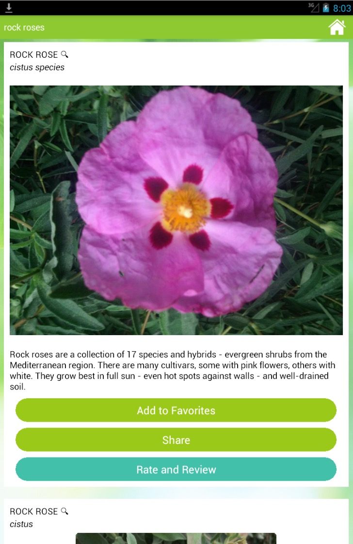 Garden Answers Plant Identifier app