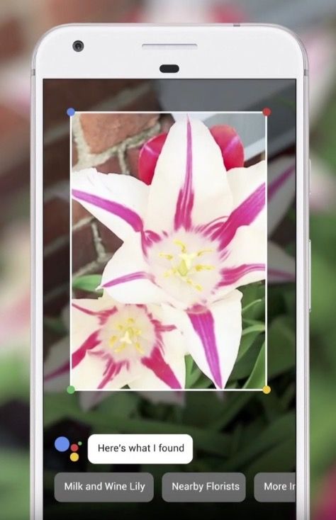 Google Lens app