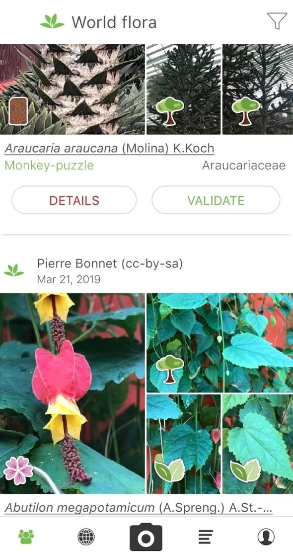 PlantNet app