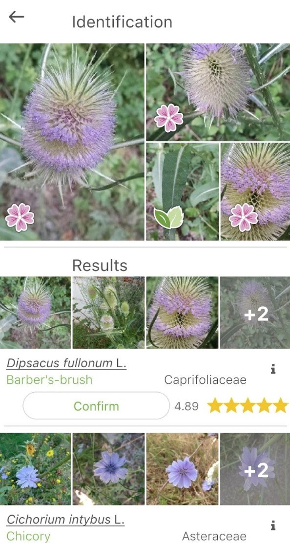 7 Best plant identification apps for Android | Android ...