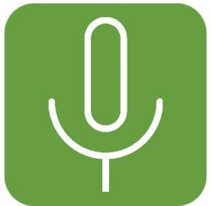 Background voice recorder logo