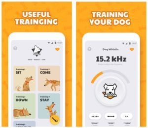 Dog Whistle with Training Lessons for Dog Training