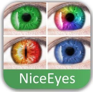 NiceEyes logo