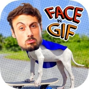 Face In Gif logo