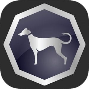 Sighthound Video logo