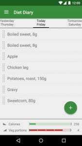 Simple Diet Diary screen 1