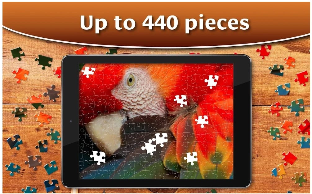 Jigsaw Puzzles