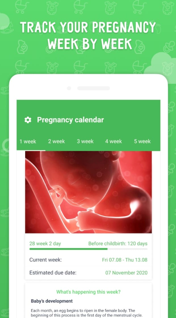 My pregnancy calendar app app