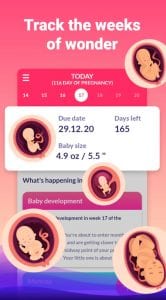 Pregnancy due date tracker app
