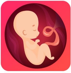 Pregnancy due date tracker logo