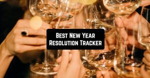 Best New Year Resolution Tracker