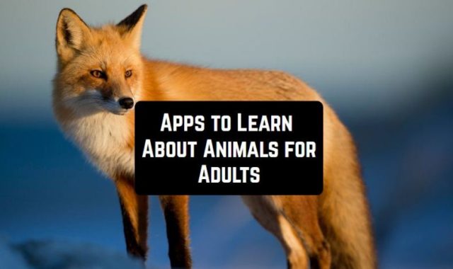 9 Android Apps to Learn About Animals (for Adults)