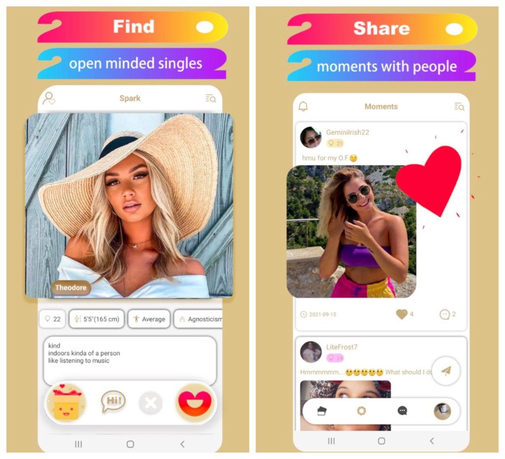 Seeking Secret Dating app