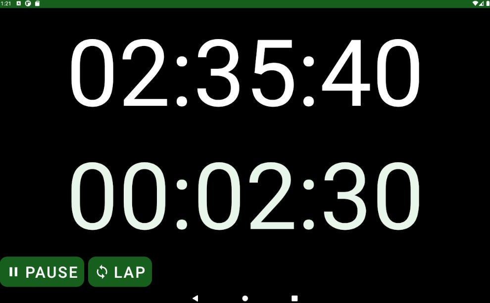 Big Lap Stopwatch
2